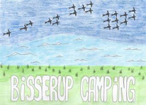 Bisserup Camping